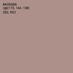 #AD908A - Del Rio Color Image